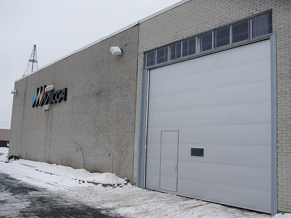 Pedestrian Commercial Door 